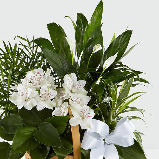 Peace & Serenity Dishgarden –  Weatherford Florist, Weatherford TX