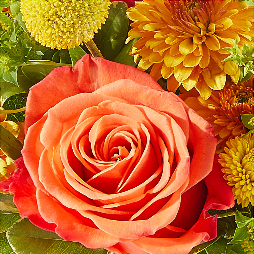 Gourdgeous Pumpkin –  Weatherford Florist, Weatherford TX