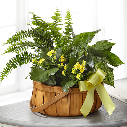 Always Dear Dishgarden –  Weatherford Florist, Weatherford TX